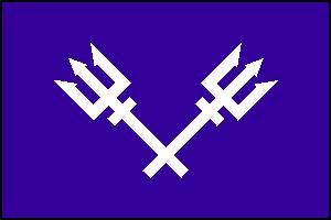 Vice Commander